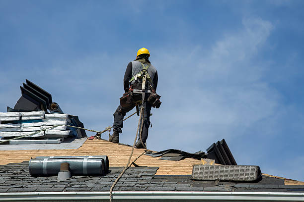 Professional Roof Replacement technician working in Bow, WA